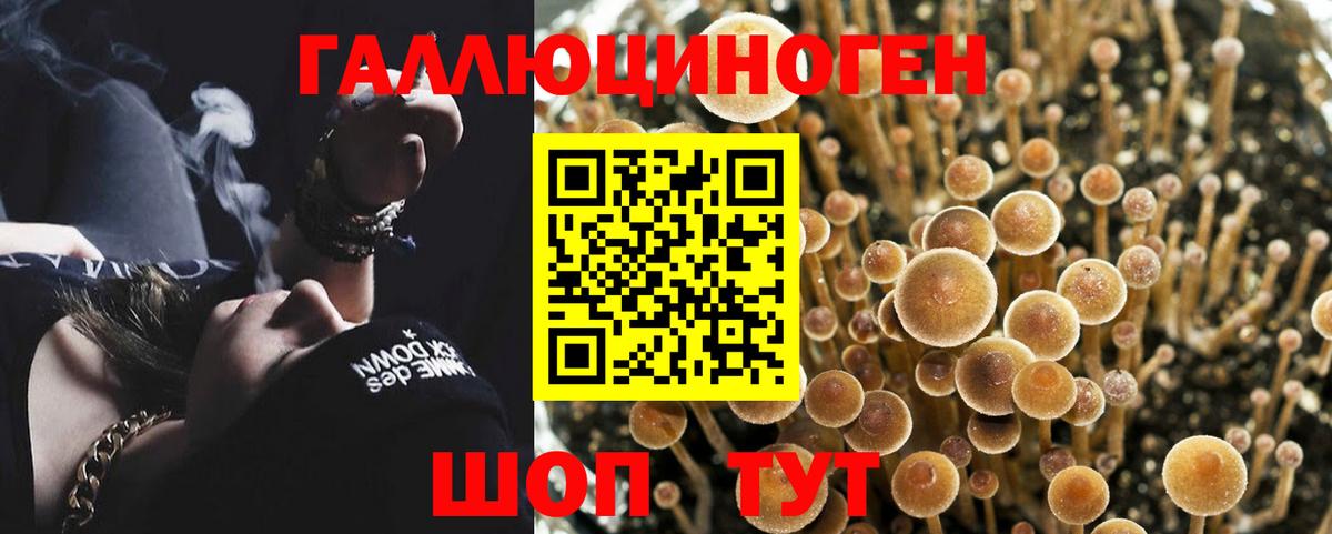 Псилоцибиновые грибы GOLDEN TEACHER Вятские Поляны