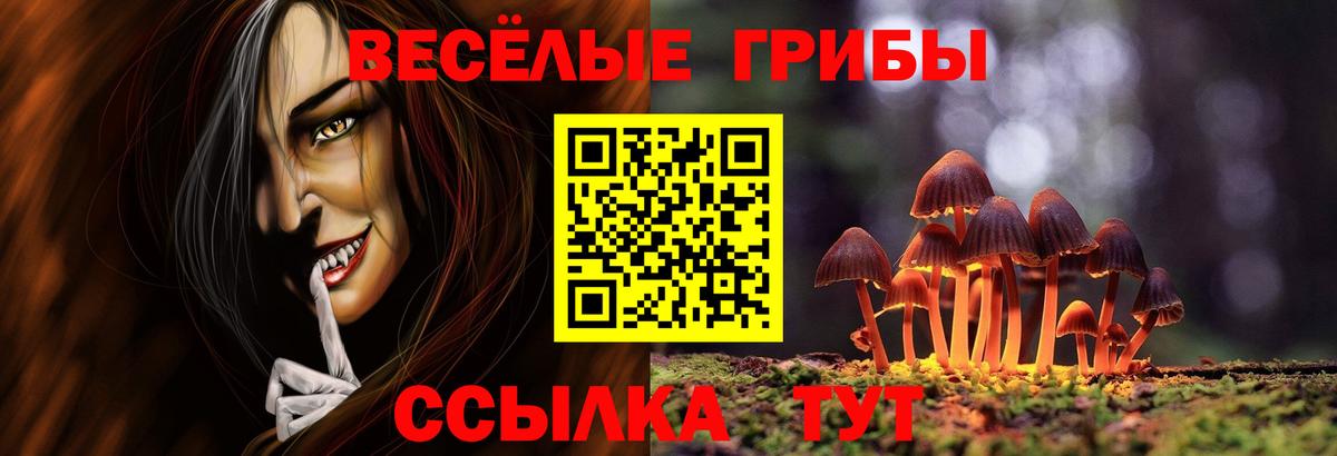 купить наркотики цена  Псилоцибиновые грибы мицелий  Вход с VPN  Вятские Поляны 